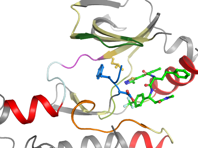 The orthosteric binding pocket