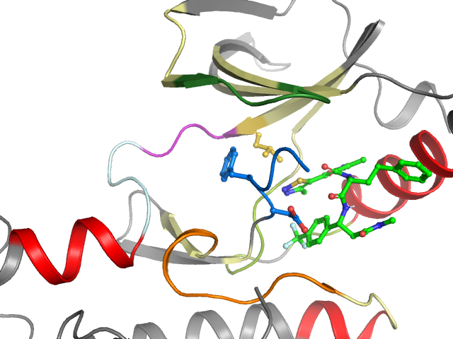 The orthosteric binding pocket