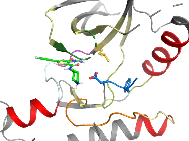 The orthosteric binding pocket