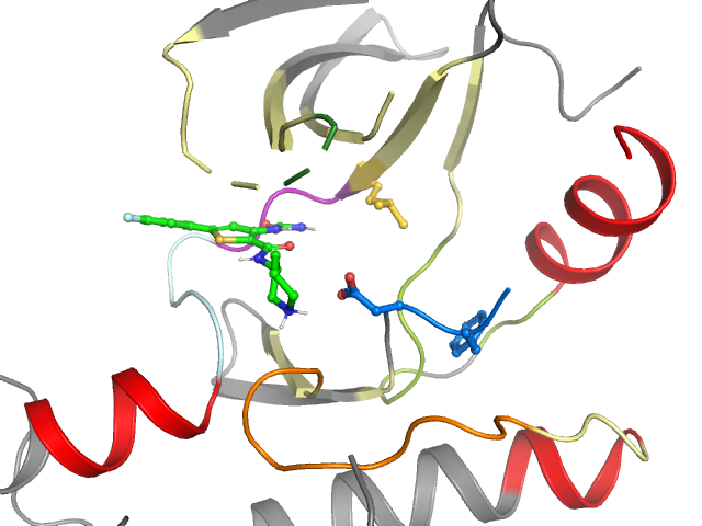 The orthosteric binding pocket
