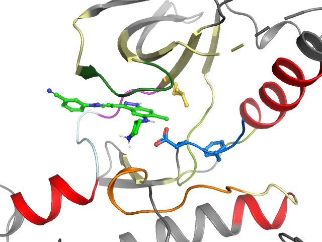 The orthosteric binding pocket