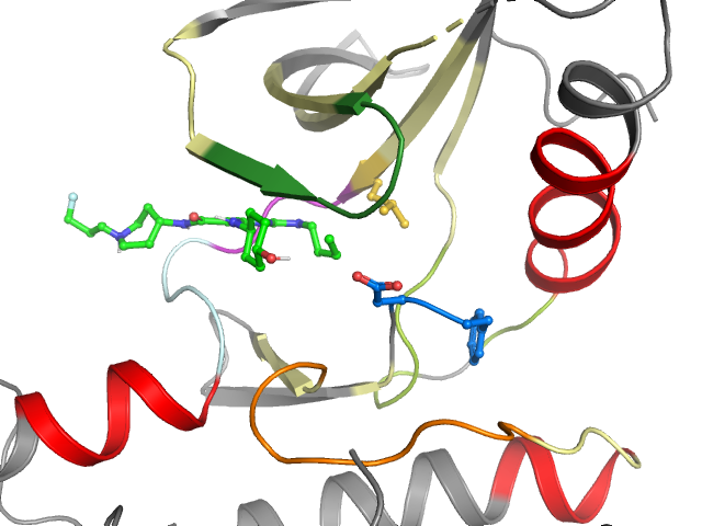The orthosteric binding pocket