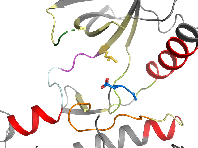 The orthosteric binding pocket