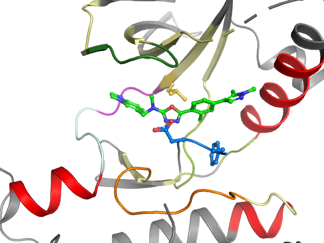 The orthosteric binding pocket