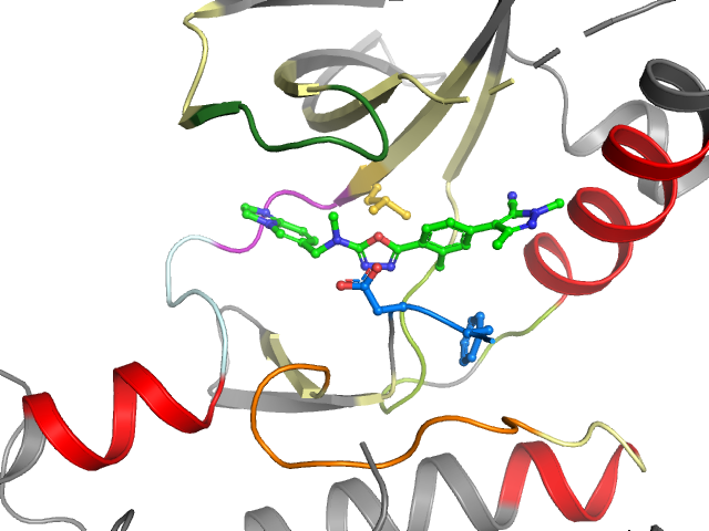 The orthosteric binding pocket