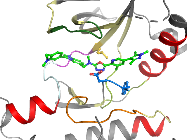 The orthosteric binding pocket