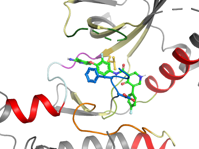 The orthosteric binding pocket
