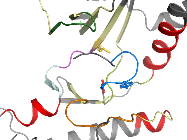 The orthosteric binding pocket