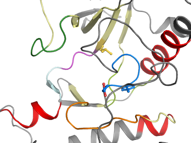 The orthosteric binding pocket