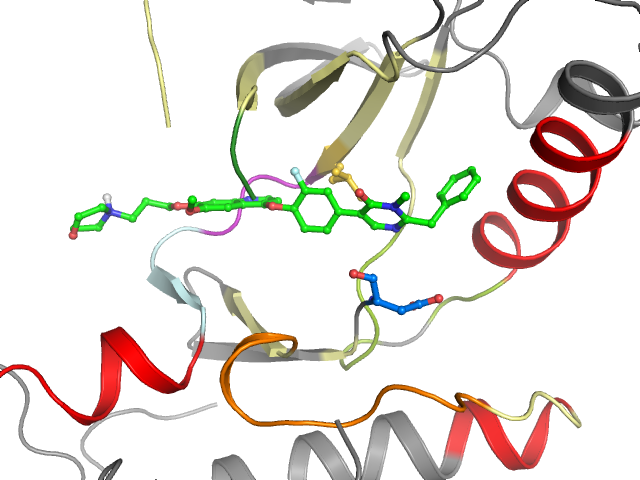 The orthosteric binding pocket
