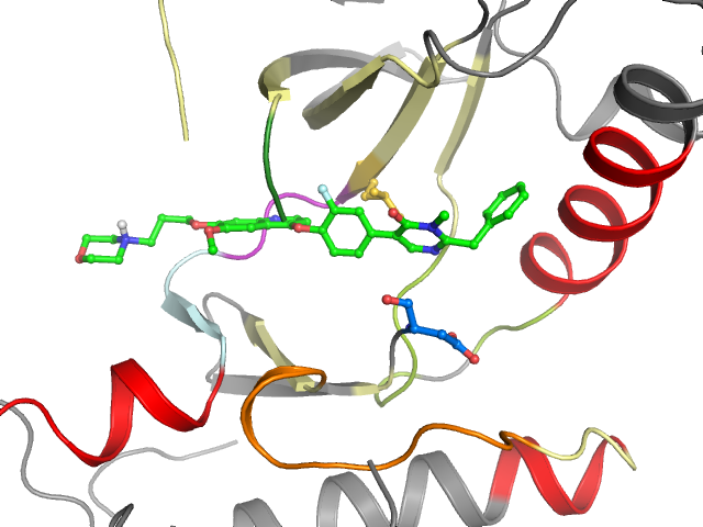 The orthosteric binding pocket