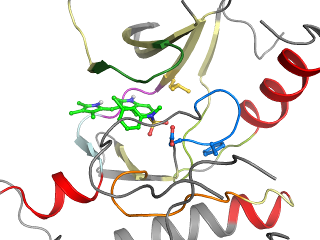 The orthosteric binding pocket
