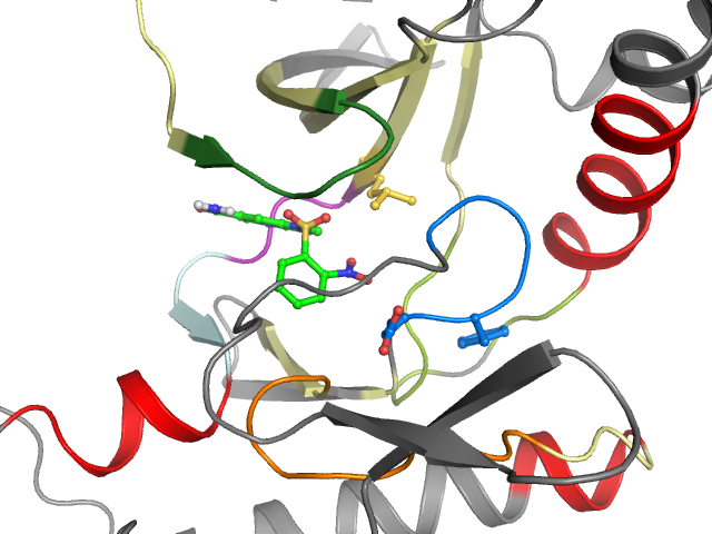 The orthosteric binding pocket