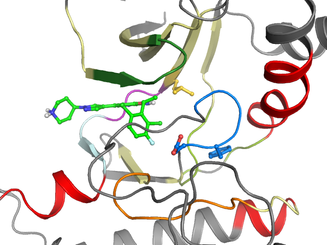 The orthosteric binding pocket