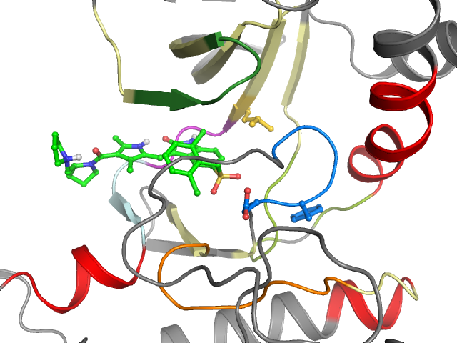 The orthosteric binding pocket