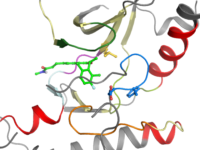 The orthosteric binding pocket