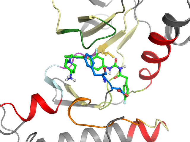 The orthosteric binding pocket