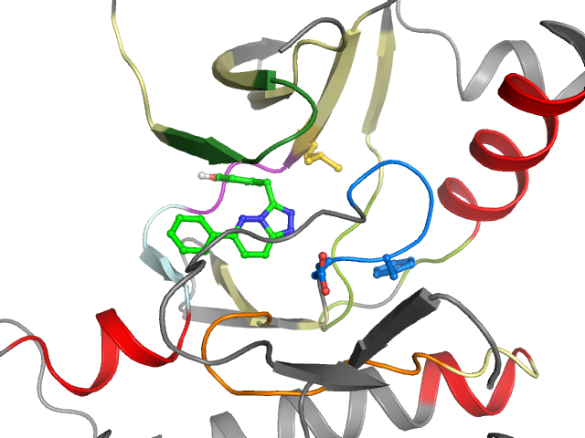 The orthosteric binding pocket