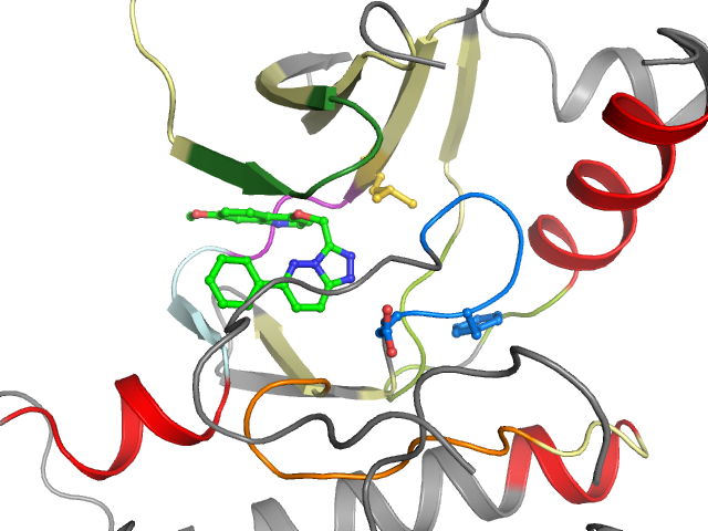 The orthosteric binding pocket