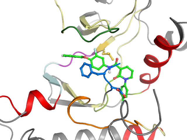 The orthosteric binding pocket