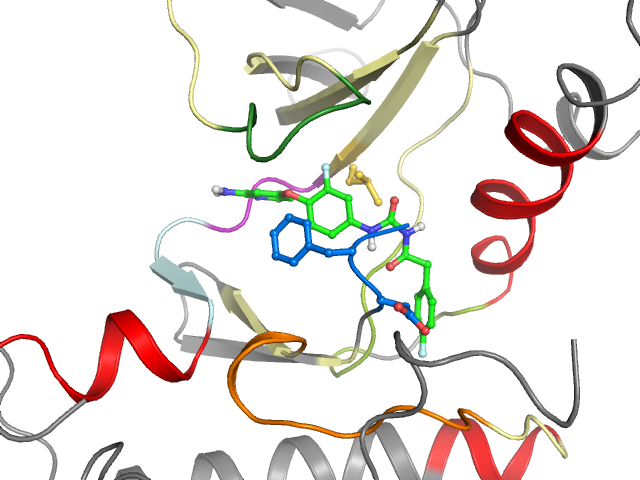 The orthosteric binding pocket