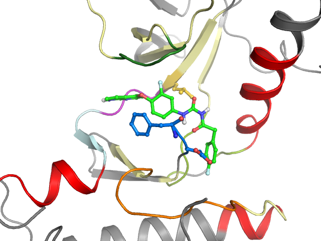 The orthosteric binding pocket