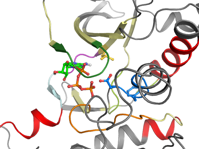 The orthosteric binding pocket