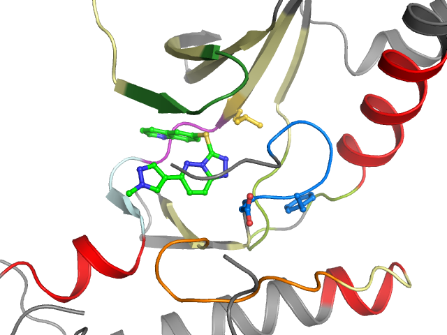 The orthosteric binding pocket