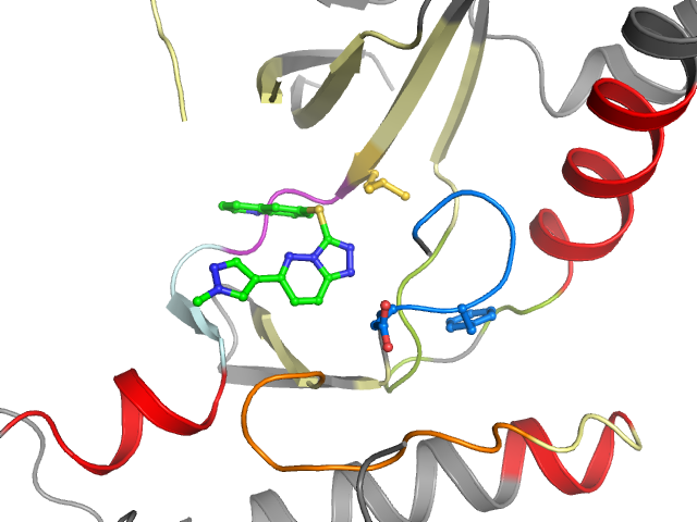The orthosteric binding pocket