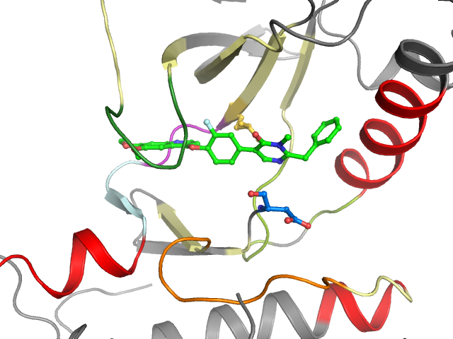 The orthosteric binding pocket