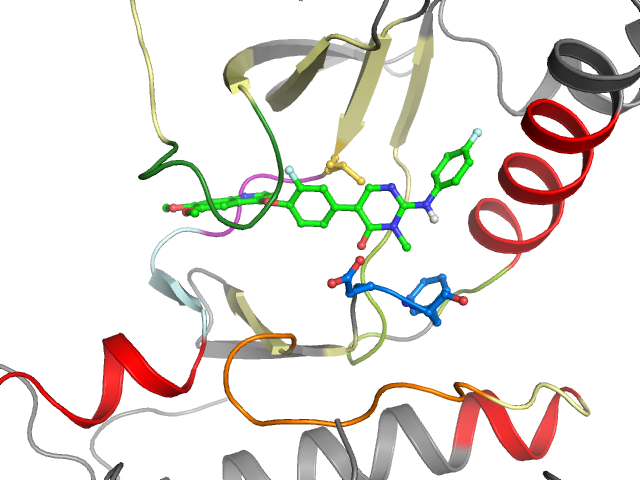 The orthosteric binding pocket
