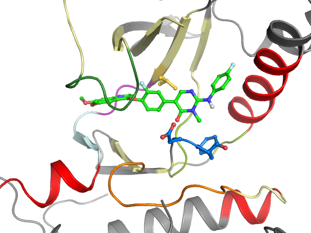 The orthosteric binding pocket