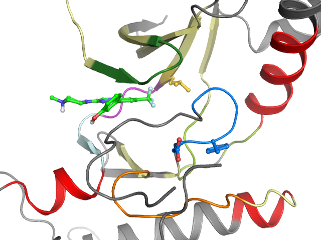The orthosteric binding pocket