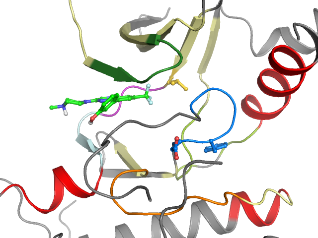 The orthosteric binding pocket