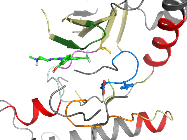 The orthosteric binding pocket