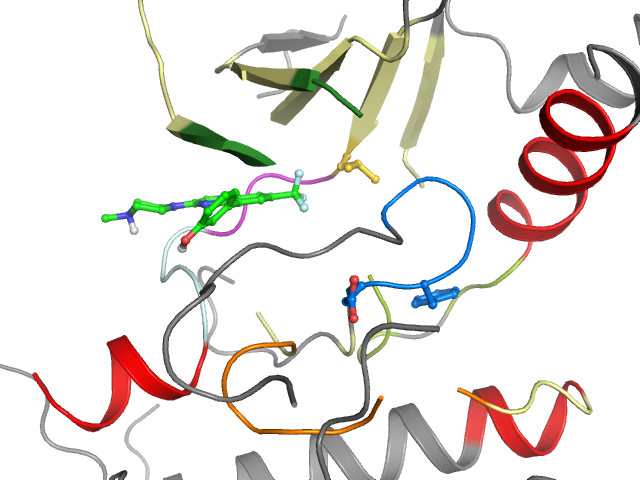 The orthosteric binding pocket