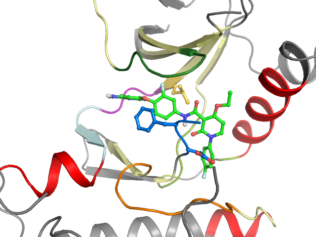 The orthosteric binding pocket