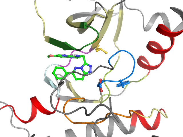 The orthosteric binding pocket