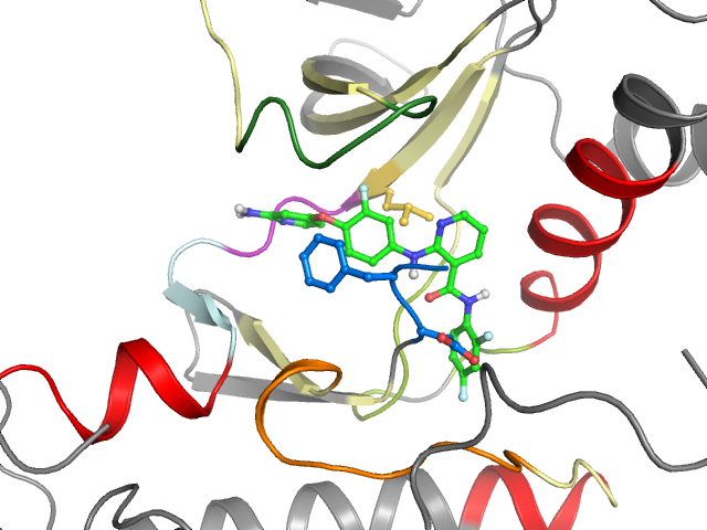The orthosteric binding pocket