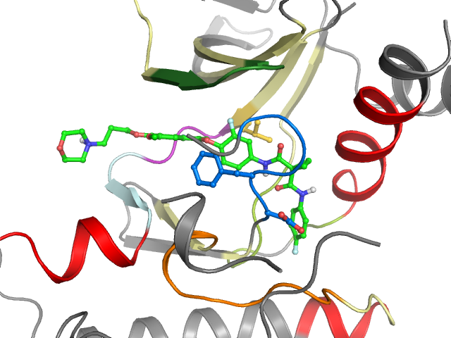 The orthosteric binding pocket