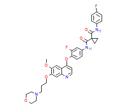 2D structure of the orthosteric ligand