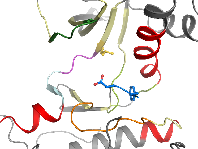 The orthosteric binding pocket