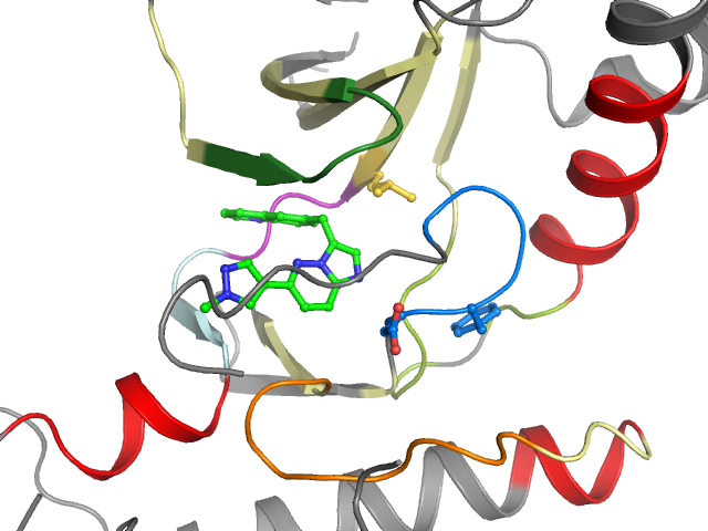 The orthosteric binding pocket