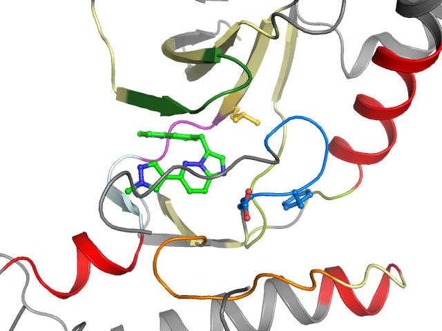 The orthosteric binding pocket