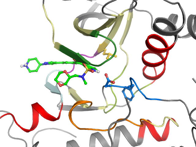 The orthosteric binding pocket