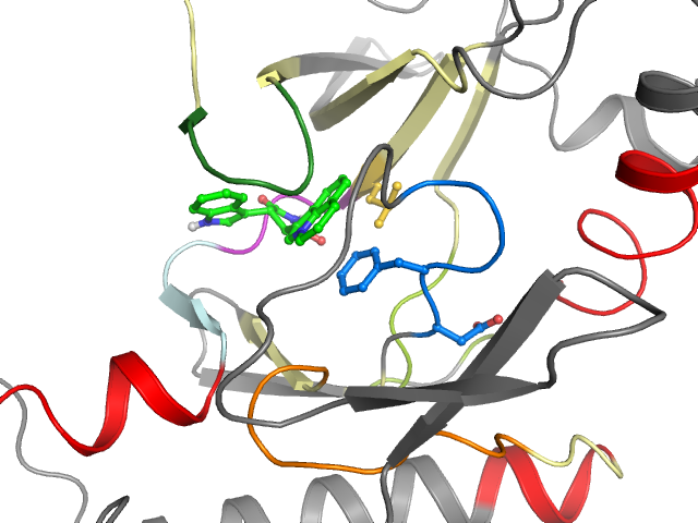 The orthosteric binding pocket