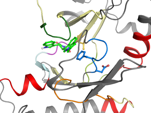 The orthosteric binding pocket