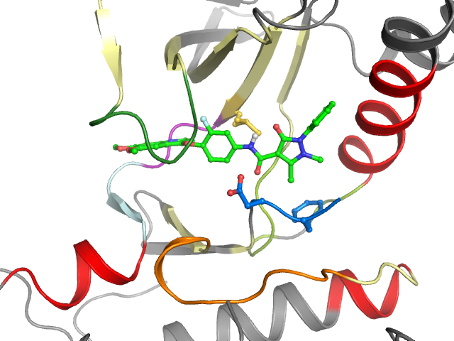 The orthosteric binding pocket