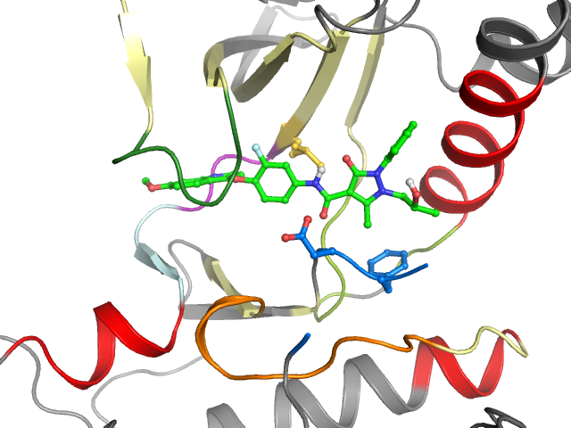 The orthosteric binding pocket