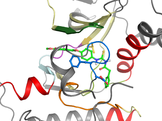 The orthosteric binding pocket